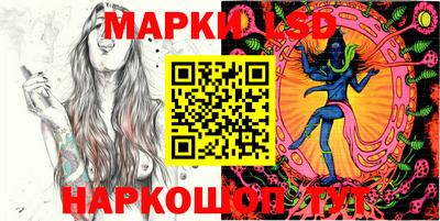 стафф Кандалакша