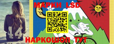 apvp Камышлов