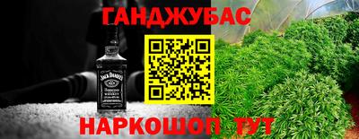гашик Ноябрьск