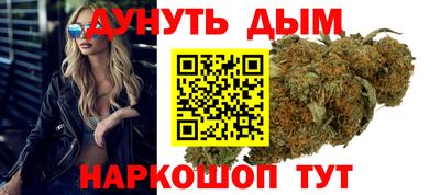 apvp Камышлов
