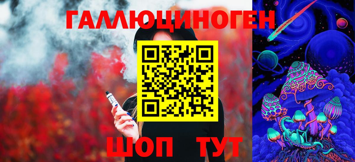 Галлюциногенные грибы Psilocybe Лесной